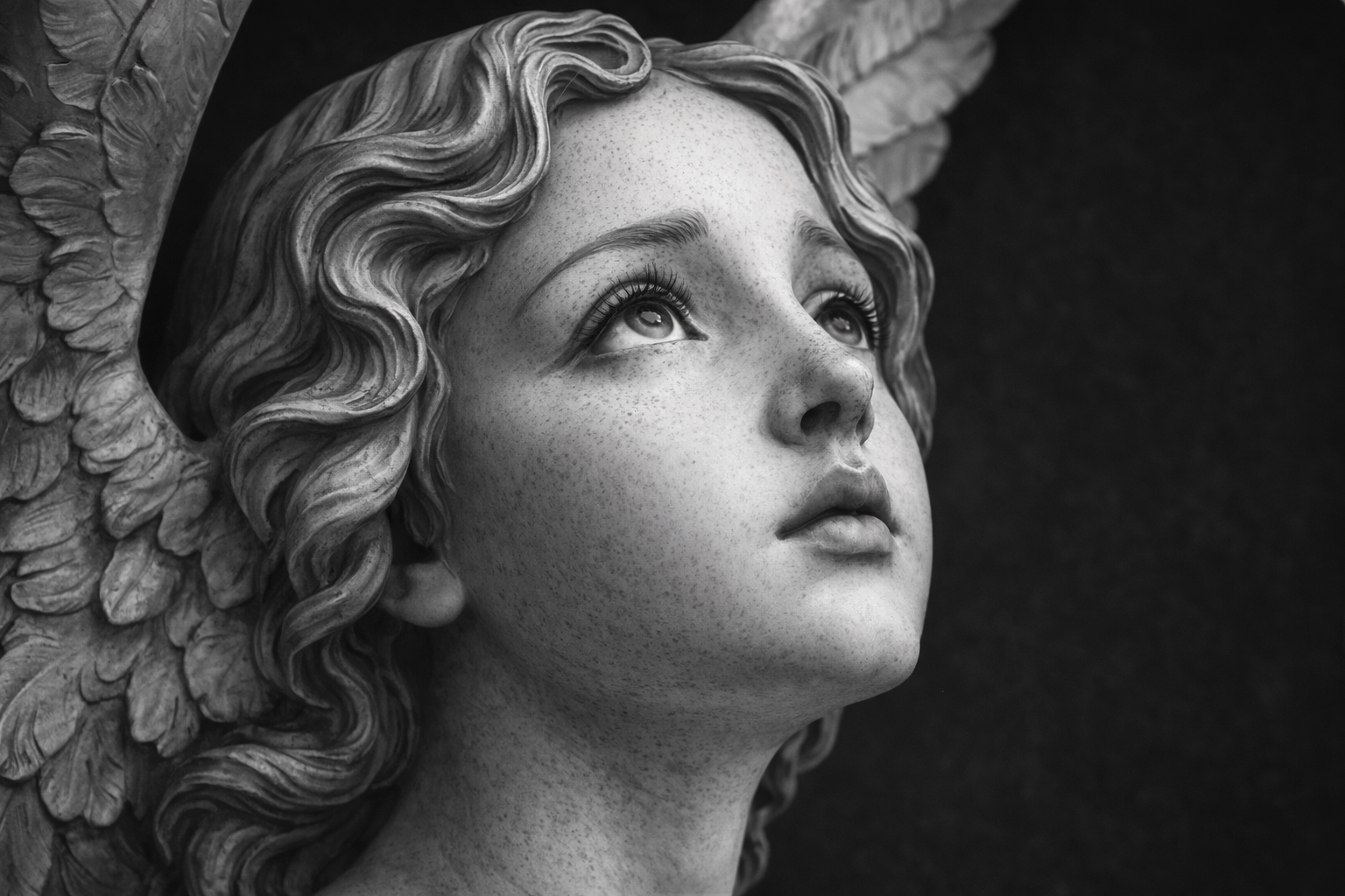 چطور وسط این همه خبر تلخ دوام بیاوریم؟  درس هایی از کتاب <<همه‌چی بگا رفته>>